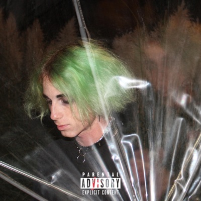 Distant Lover - Single