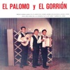 El Palomo y El Gorrion - Dos Palomas Al Volar