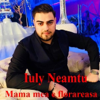 Mama Mea E Florareasa - Iuly Neamtu