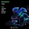 Drippin (Rich Campbell Remix) - Draumaser lyrics