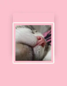 Listen to Una Bandita Indie de la Plata, watch music videos, read bio, see tour dates & more!