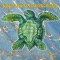 Resplendent Sublimity - Spurious Transients lyrics