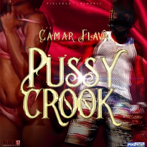 Pussy Crook (feat. Camar Flava, Pixledge & Block17)