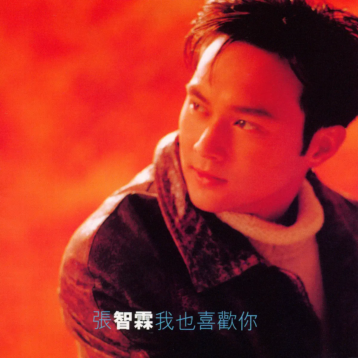張智霖 - 我也喜歡你 (1997) [iTunes Plus AAC M4A]-新房子