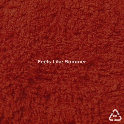 Feels Like Summer - Single