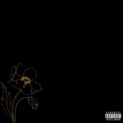 Petals Off the Roses (Black Edition)