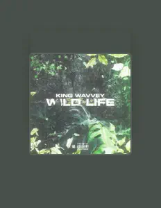 King cadzを聴いたり、ミュージックビデオを鑑賞したり、経歴やツアー日程などを確認したりしましょう！