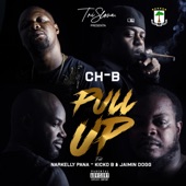 Pull Up (feat. Narkelly Pana, Kicko B & Jaimin Dogg) artwork
