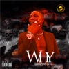 Why - Single