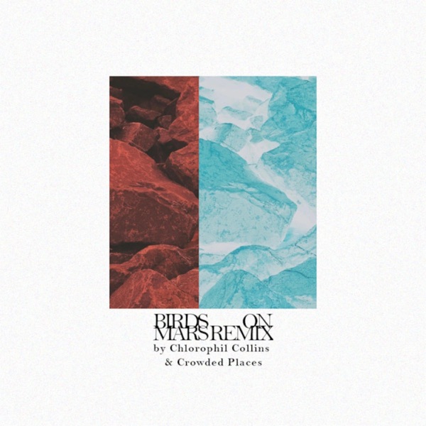 Birds On Mars (feat. Crowded Places) [Remix]