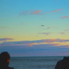 聆聽 Kav、觀看音樂影片、閱讀小傳、查看巡演日期等！