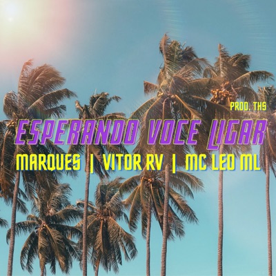 Esperando Você Ligar - Single