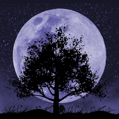 Luna (feat. Mathfer & Ron) - Single