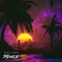 Trouble in Budapest - Single - Shimzie