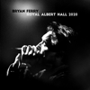 Your Painted Smile (Live) - Bryan Ferry