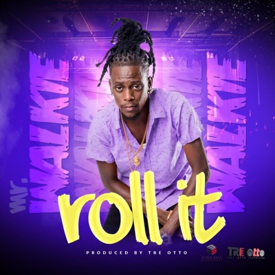 Roll It (feat. Mr. Walkie) - Single