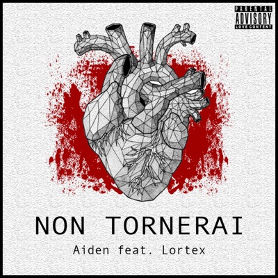 Non Tornerai (feat. Lortex) - Single