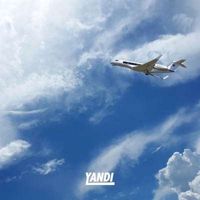 Private Jet - Single