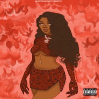Meg Thee Stallion - Single - Cbm Soulja