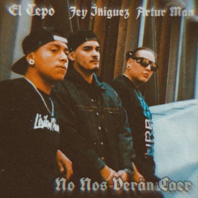 No Nos Verán Caer - Single