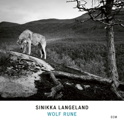 Album artwork