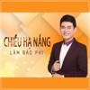 Chiều Hạ Nắng - Single