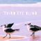 Third Eye Blind - saca lyrics