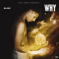 Why - Single - $lugz