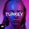 Turkey - Ömer Bükülmezoğlu lyrics