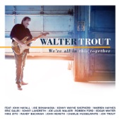Walter Trout - Crash and Burn (feat. Joe Louis Walker)