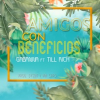 Amigos con Beneficios (feat. Gabanna, Dysbit & Ian Caro) - Single - Till Rich