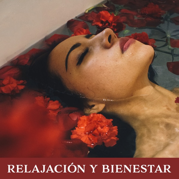 Relajación y Bienestar: Música Relajante y Antiestrés, Pensamiento Positivo, Sonidos Chillout para Dormir Mejor