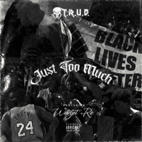 Just Too Much (feat. Wudjet Re) - Single - Trub