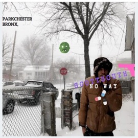 Dope (feat. Bitsu & Realo) Scott South