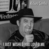 I Just Wished You Loved Me - Single