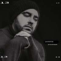 13 - Шаумаров