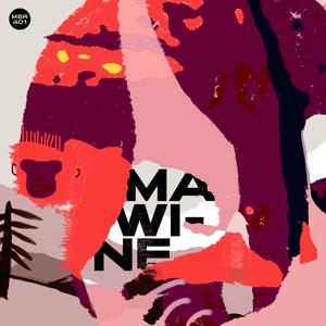 Mawine (feat. Stevo Atambire) - Single