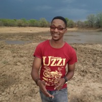 1 Mogul - Single - Ray T