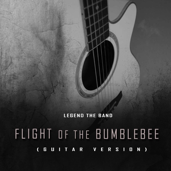 Flight of the Bumblebee (Guitar Version)