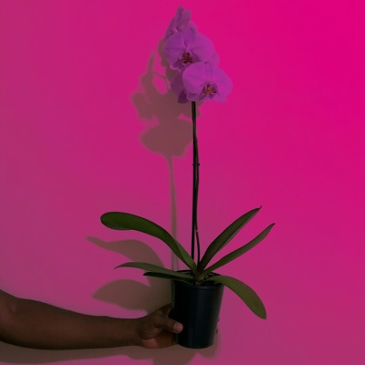 Cupid's Protest (feat. Daev Martian) - Single