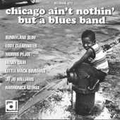 Sunnyland Slim - Recession Blues