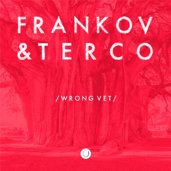 Wrong Vet - Single