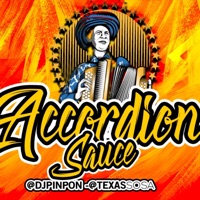 Accordion Sauce - Single - DJPINPON