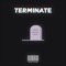 Terminate (feat. Anna Erving) - Carson Diddens lyrics