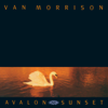 Have I Told You Lately - Van Morrison