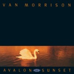 Van Morrison - When Will I Ever Learn to Live In God