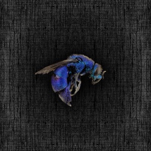 Aerodynamics - Single
