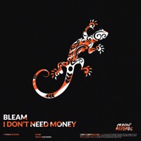 I Don't Need Money - Single - BLEAM