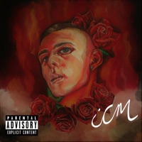 What You See - EP - ICM