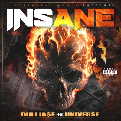 Insane (feat. Universe) - Single